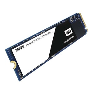 256GB NVMe M.2 SSD