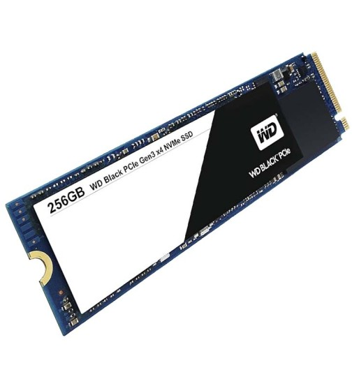 256GB NVMe M.2 SSD