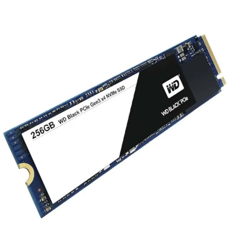 256GB NVMe M.2 SSD